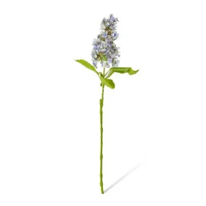 Cone Hydrangea  - 20 x 20 x 75cm by Elme Living, a Plants for sale on Style Sourcebook