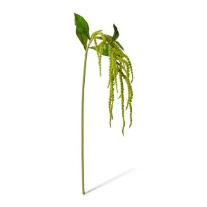 Amaranthus Spray - 18 x 15 x 114cm by Elme Living, a Plants for sale on Style Sourcebook