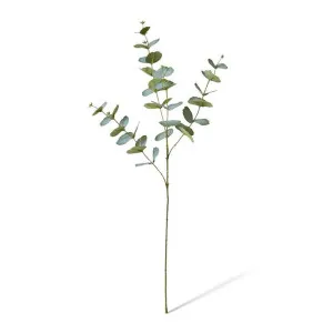 Eucalyptus Spray - 50 x 50 x 130cm by Elme Living, a Plants for sale on Style Sourcebook