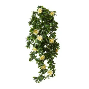 Begonia (Outdoor) Hanging - 40 x 20 x 89cm by Elme Living, a Plants for sale on Style Sourcebook