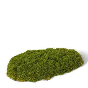 Moss Pad Large - 40 x 60 x 20cm by Elme Living, a Plants for sale on Style Sourcebook