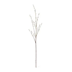 Pussy Willow Branch - 30 x 14 x 127cm by James Lane, a Plants for sale on Style Sourcebook