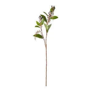 Poke Weed Spray - 30 x 20 x 97cm by James Lane, a Plants for sale on Style Sourcebook