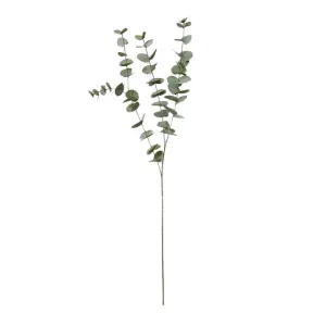 Eucalyptus Spray - 15 x 5 x 100cm by James Lane, a Plants for sale on Style Sourcebook