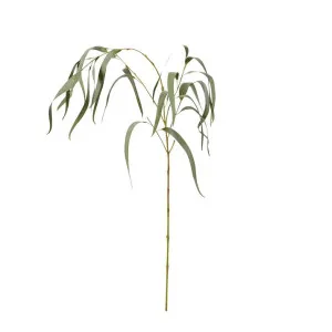 Eucy Gum Spray - 23 x 16 x 112cm by James Lane, a Plants for sale on Style Sourcebook