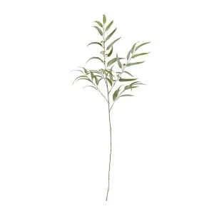 Eucalyptus Spray - 26 x 5 x 117cm by James Lane, a Plants for sale on Style Sourcebook