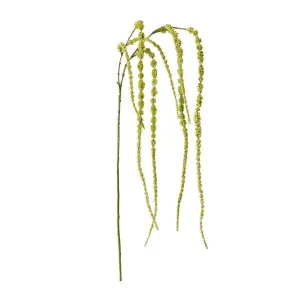 Amaranthus Hanging Spray - 16 x 16 x 147cm by James Lane, a Plants for sale on Style Sourcebook