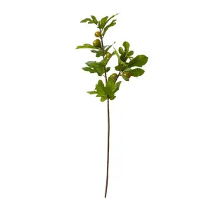Fig Branch - 20 x 32 x 86cm by James Lane, a Plants for sale on Style Sourcebook