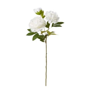 Peony Queen Spray - 30 x 20 x 76cm by James Lane, a Plants for sale on Style Sourcebook