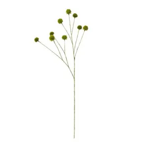 Echinops Ritro Spray - 24 x 18 x 91cm by James Lane, a Plants for sale on Style Sourcebook