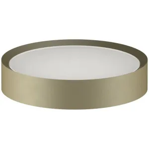 Fantini Young Wall Mounted Soap Holder - Matte British Gold PVD 96P67669 by Fantini, a Bathroom Accessories for sale on Style Sourcebook