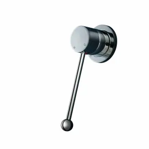 Rogerseller Tonic Care Extended Shower Mixer Handle - Chrome 303055 by Rogerseller, a Showers for sale on Style Sourcebook
