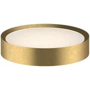Fantini Young Soap Holder - Pure Brass PVD 96Q77648 by Fantini, a Bathroom Accessories for sale on Style Sourcebook