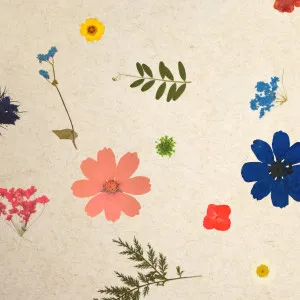 SUPERBLOOM Light by Organoid, a Wallpaper for sale on Style Sourcebook