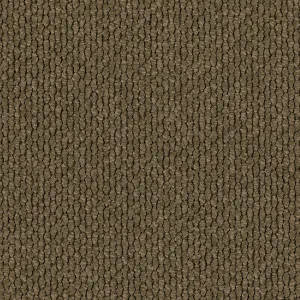 Andes Peak - Rubio 2458 by EC Carpets, a Loop for sale on Style Sourcebook