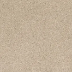 Coco Bliss - Felicity 9042 by EC Carpets, a Twist for sale on Style Sourcebook