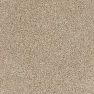 Coco Bliss - Joy 9043 by EC Carpets, a Twist for sale on Style Sourcebook