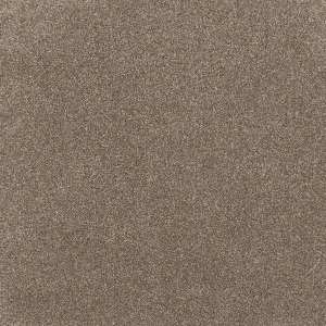Comfort Touch - Ease 9112 by EC Carpets, a Twist for sale on Style Sourcebook