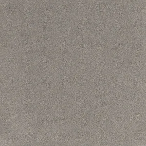 Comfort Touch - Peace 9124 by EC Carpets, a Twist for sale on Style Sourcebook