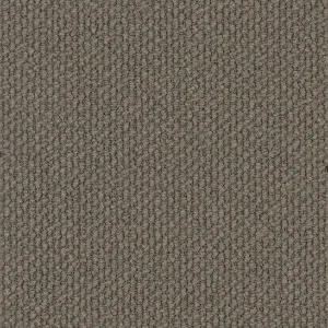 Montrosa - Vistron 2509 by EC Carpets, a Loop for sale on Style Sourcebook