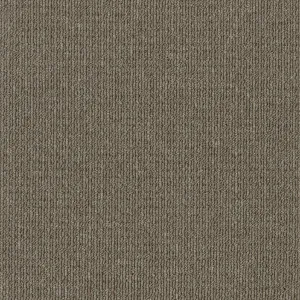 Savanna - Candlebark 2931 by EC Carpets, a Loop for sale on Style Sourcebook