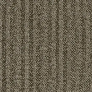 Summit Point - Selwyn 2921 by EC Carpets, a Loop for sale on Style Sourcebook