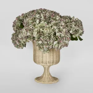 Belmont Rattan Urn Large by Florabelle Living, a Vases & Jars for sale on Style Sourcebook