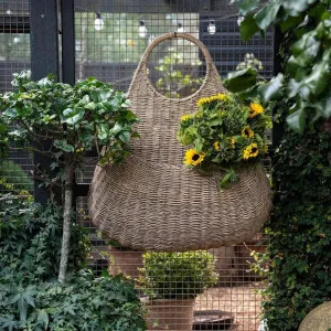 Garden Tear Drop Hanging Basket PRE ORDER ETA 6/01/2025 by Florabelle Living, a Baskets & Boxes for sale on Style Sourcebook