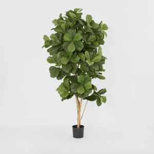 Fiddle Artifical Leaf Tree 2m by Florabelle Living, a Plants for sale on Style Sourcebook
