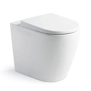Argent Grace HygienicFlush Wall Faced Toilet With Soft Closing Seat White by Argent, a Toilets & Bidets for sale on Style Sourcebook