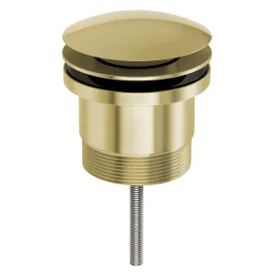 Phoenix 40mm Pop Up Universal Waste Brushed Gold by PHOENIX, a Traps & Wastes for sale on Style Sourcebook