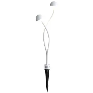 Oriel Lighting Enoki Weatherproof Outdoor DIY Double Head 12V LED Spike Light White by Oriel Lighting, a Outdoor Lighting for sale on Style Sourcebook