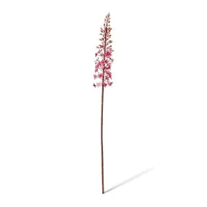 Eucomis Stem - 7 x 10 x 89cm by Elme Living, a Plants for sale on Style Sourcebook