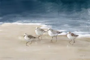 Shorebirds on Sand by Gioia Wall Art, a Prints for sale on Style Sourcebook