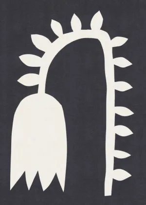 Black Tulip #2 by Alisa Galitsyna, a Prints for sale on Style Sourcebook