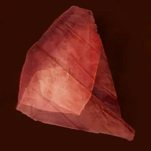 Crimson Folded Abstract Form by ARTHOUSEco, a Prints for sale on Style Sourcebook