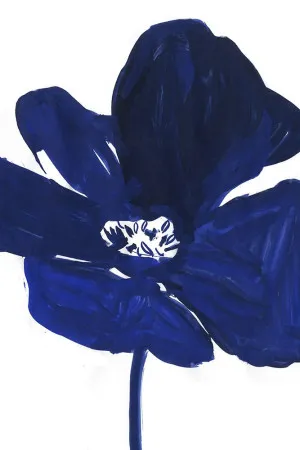 Indigo Petal I by ARTHOUSEco, a Prints for sale on Style Sourcebook