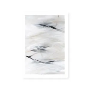 Goose Feathers I by ARTHOUSEco, a Prints for sale on Style Sourcebook