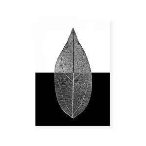 Mono Leaf II by ARTHOUSEco, a Prints for sale on Style Sourcebook