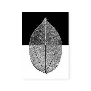 Mono Leaf I by ARTHOUSEco, a Prints for sale on Style Sourcebook