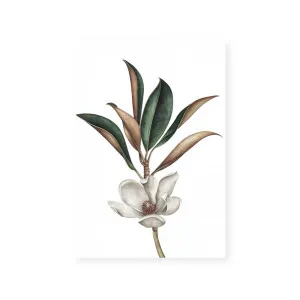 White Magnolia II by ARTHOUSEco Luxe, a Prints for sale on Style Sourcebook
