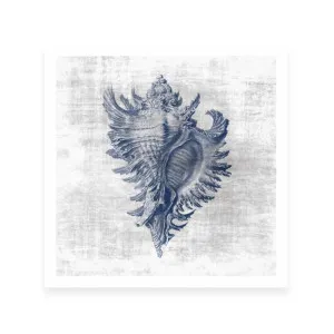 Sea Life 1 by ARTHOUSEco Luxe, a Prints for sale on Style Sourcebook