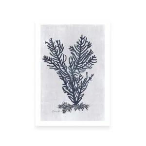 Sea Fan 2 | White by ARTHOUSEco Luxe, a Prints for sale on Style Sourcebook