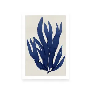 Sea Life Indigo III by ARTHOUSEco Luxe, a Prints for sale on Style Sourcebook