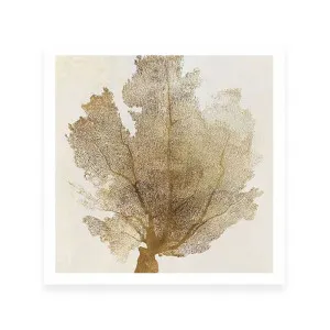 Luxe Coral II by ARTHOUSEco Luxe, a Prints for sale on Style Sourcebook