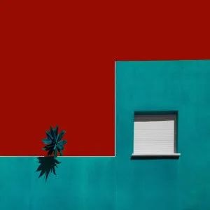 A Spanish Roof Garden by Inge Schuster, a Prints for sale on Style Sourcebook