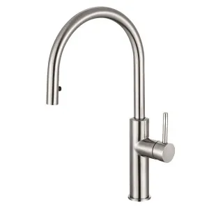 Titan Essentials Lite Gooseneck Pull Out Kitchen Mixer Tap Stainless Steel TTSSXP by Titan, a Kitchen Taps & Mixers for sale on Style Sourcebook