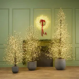Forest Tree 180cm with 2000 LED Black by Florabelle Living, a Christmas for sale on Style Sourcebook