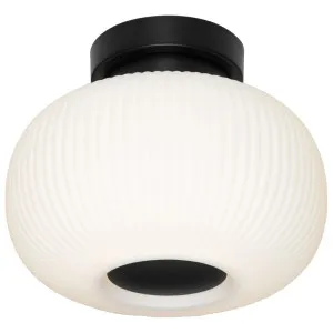 Cougar Hutton DIY Opal Glass Batten Fix Black by Cougar, a Lighting for sale on Style Sourcebook