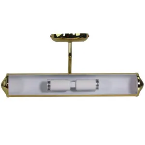 Oriel Lighting Picture Light Brass Plated by Oriel Lighting, a Lighting for sale on Style Sourcebook